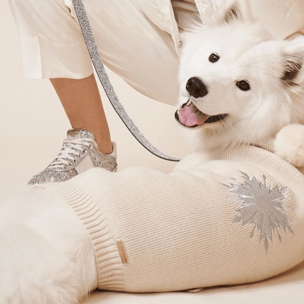 maxbone Disney's Frozen 2 Sequin Snowflake Dog Sweater